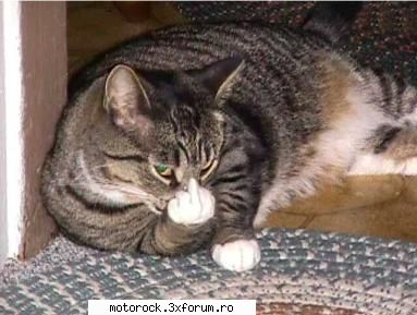 you ma  dak iti convine tie sau nu d cum sau c scriu eu p forum...
i don't give a fuck if you hate